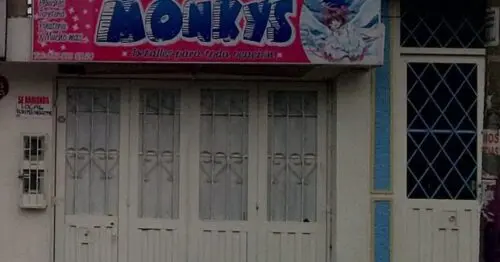 MONKYS DETALLES PARA TODA OCASION BOGOTÁ MONKYS DETALLES PARA TODA OCASION BOGOTÁ
